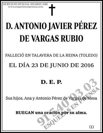 Antonio Javier Pérez de Vargas Rubio